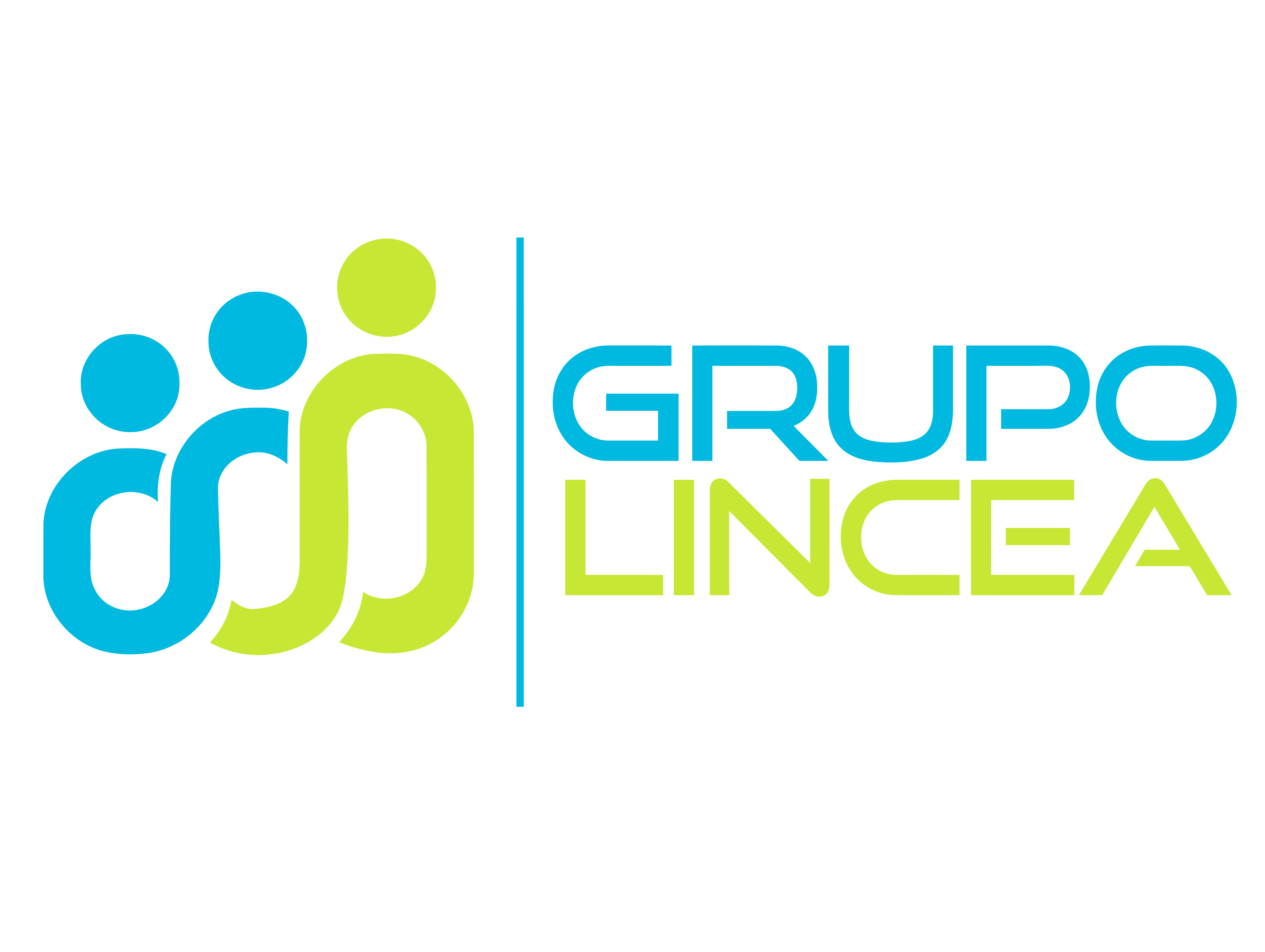 Grupo Lincea